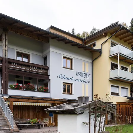 Beautiful In Zell Am Near Area